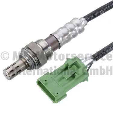 Oxygen Sensor