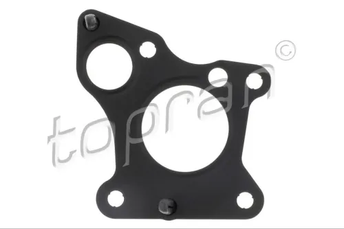 Gasket, EGR valve
