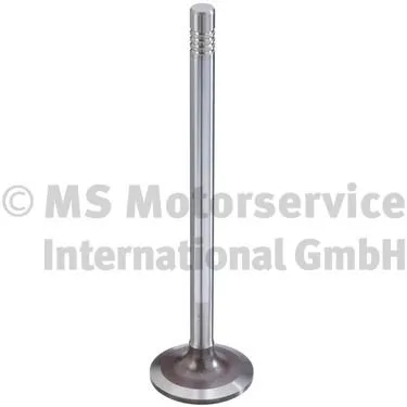 Intake Valve