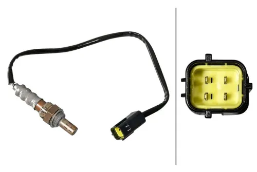 Oxygen Sensor