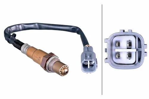 Oxygen Sensor