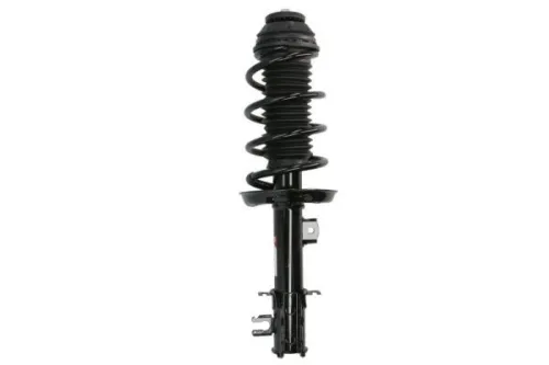 Suspension Kit, springs/shock absorbers