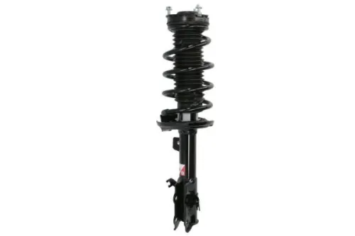 Suspension Kit, springs/shock absorbers