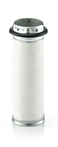 Secondary Air Filter