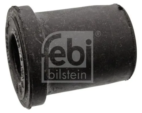 Bushing, leaf spring