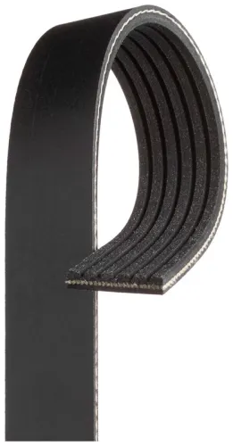 V-ribbed Belt