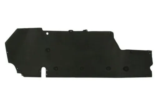 Engine Guard/Skid Plate
