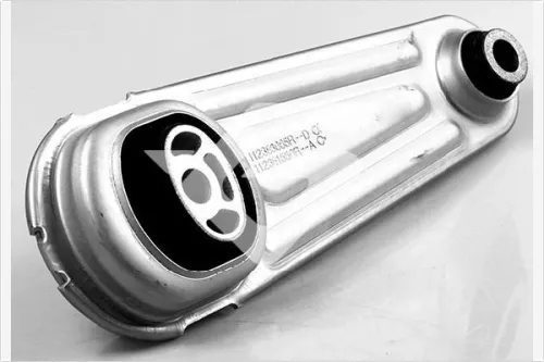 Holder, engine mounting system