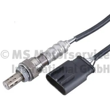 Oxygen Sensor