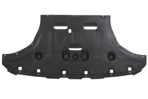 Engine Guard/Skid Plate
