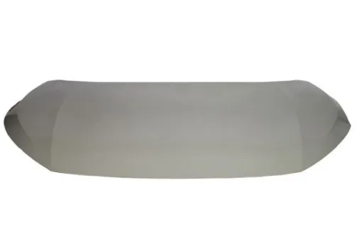 Engine Guard/Skid Plate