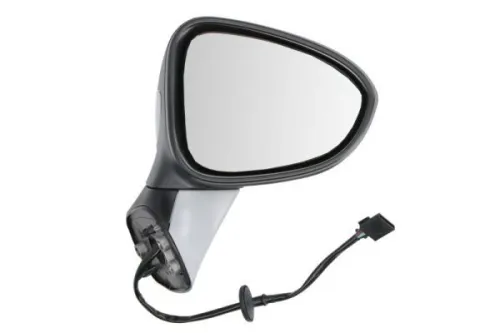 Exterior Mirror