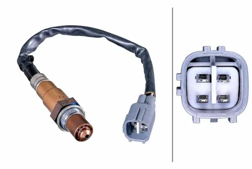 Oxygen Sensor