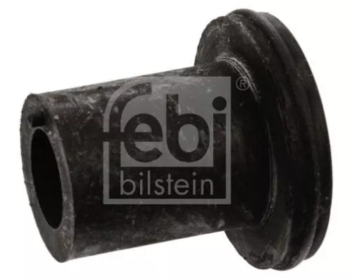 Bushing, leaf spring