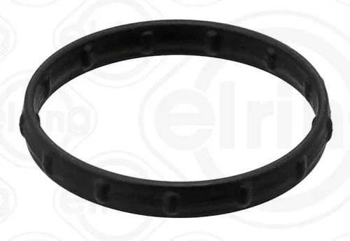 Gasket, coolant flange