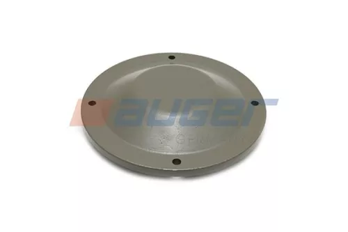 Cap, wheel bearing