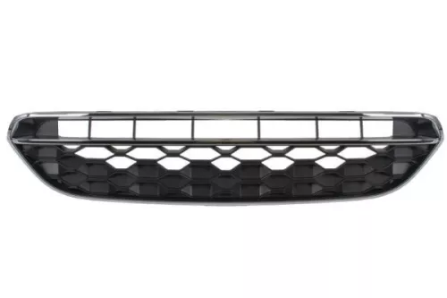 Radiator Grille