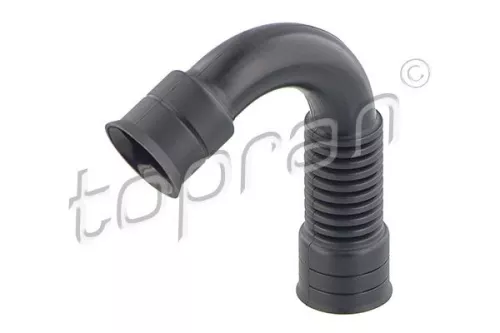Hose, cylinder head cover ventilation