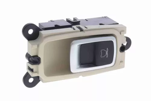 Switch, door lock system