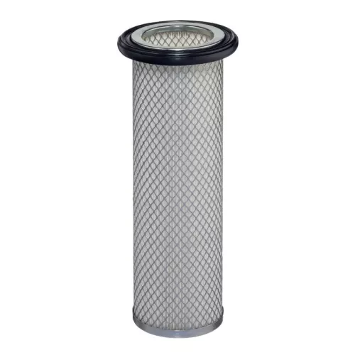Secondary Air Filter