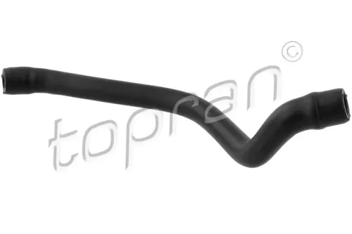 Hose, cylinder head cover ventilation