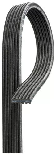V-ribbed Belt