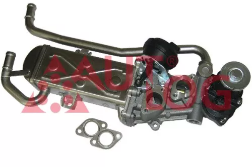 EGR Valve