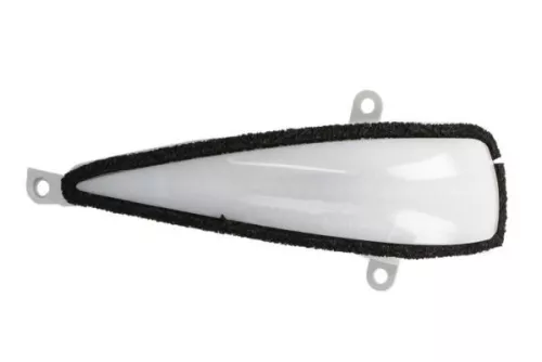 Auxiliary Direction Indicator