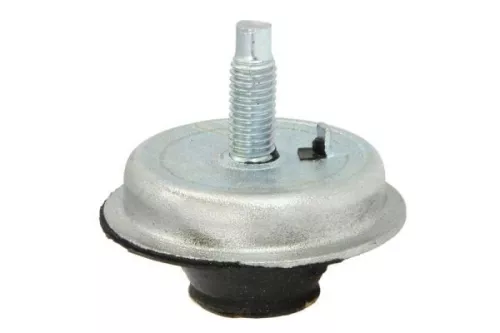 Holder, engine mounting system