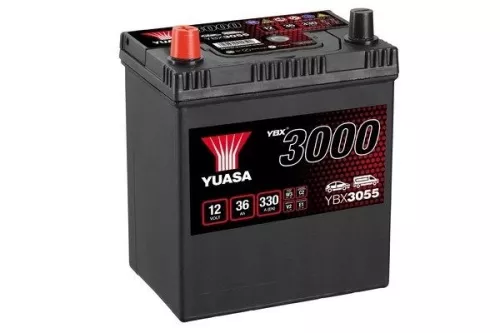 Starter Battery