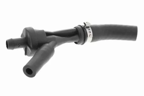 Valve, air control (intake air)