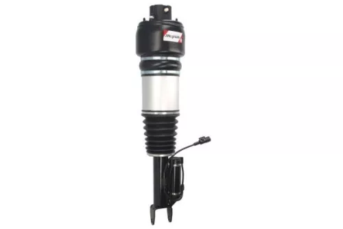 Air Suspension Strut