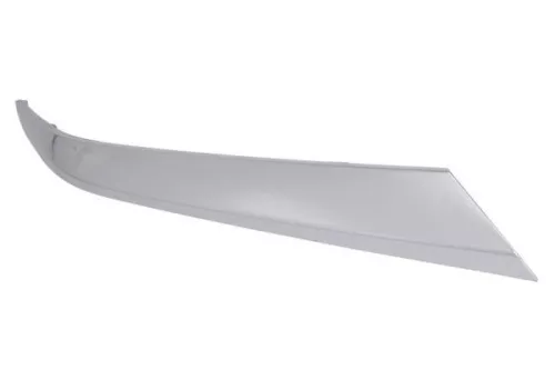 Trim/Protection Strip, bumper