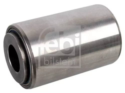 Bushing, leaf spring