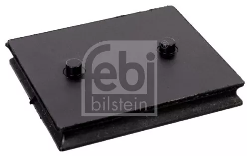 Bushing, leaf spring