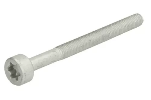 Screw, injection nozzle holder