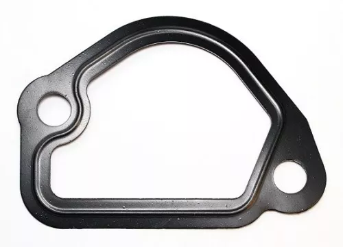 Gasket, coolant flange