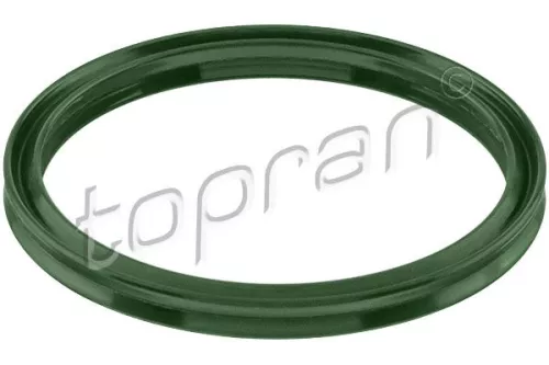 Seal Ring, charge air hose