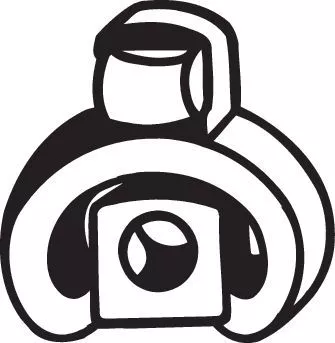 Mount, exhaust system