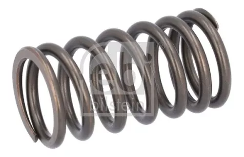 Valve Spring