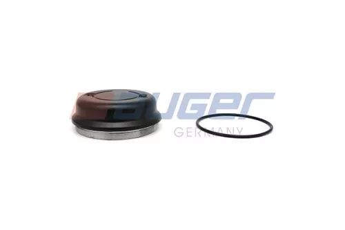 Cap, wheel bearing