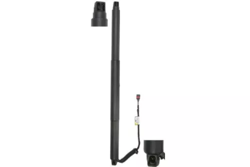 Gas Spring, tray (boot/cargo bay)