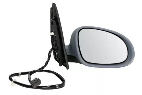 Exterior Mirror