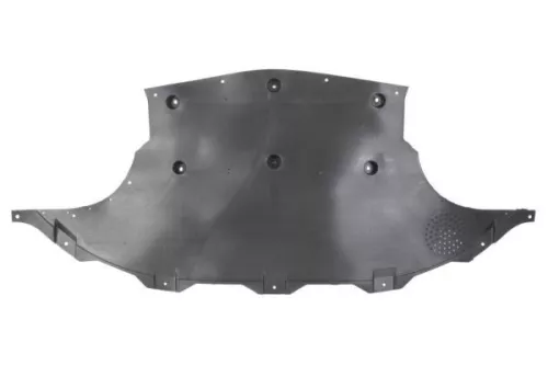 Engine Guard/Skid Plate