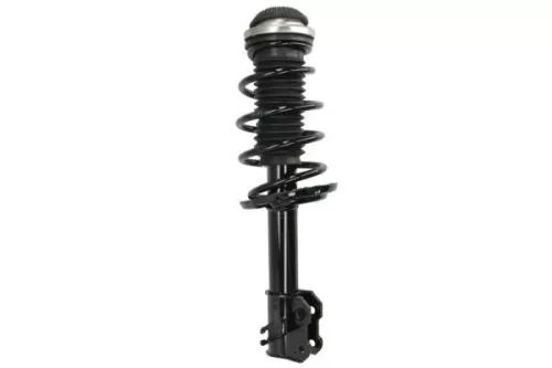 Suspension Kit, springs/shock absorbers