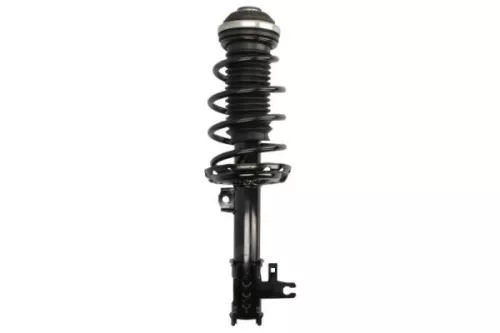 Suspension Kit, springs/shock absorbers