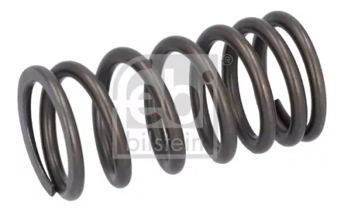 Valve Spring