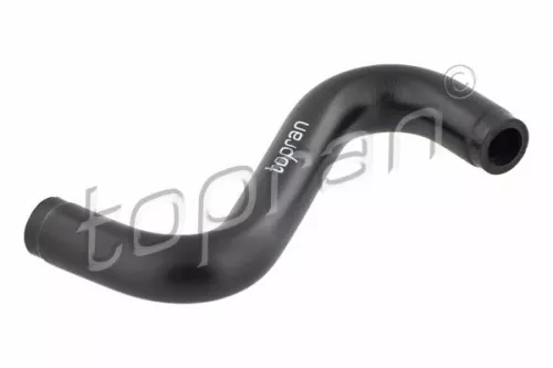 Hose, cylinder head cover ventilation