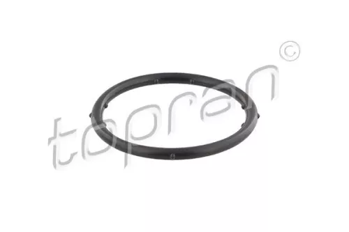 Gasket, coolant flange